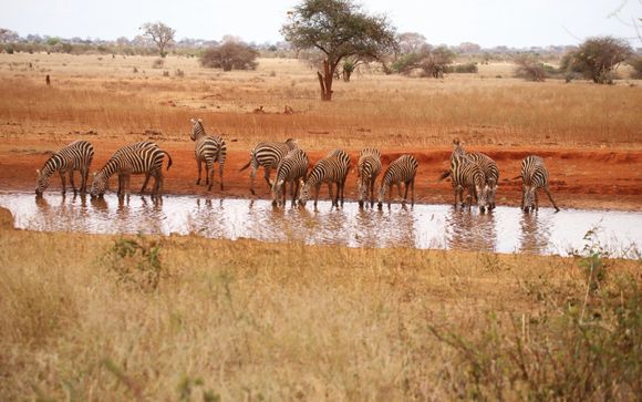 Your itinerary in detail