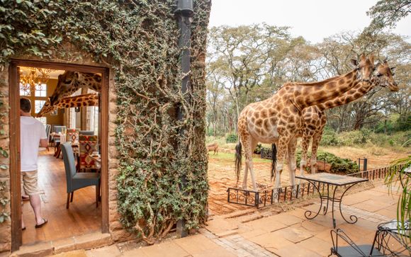 Your optional excursions