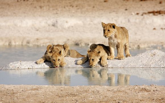 Your itinerary in detail