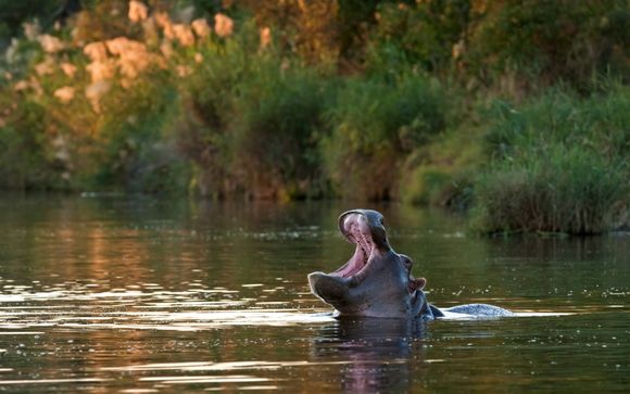 Welcome to South Africa & Zimbabwe