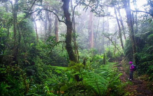 Your optional excursions & extras