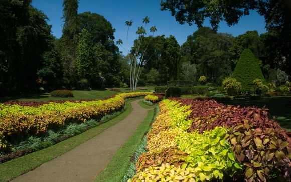 Your itinerary in detail