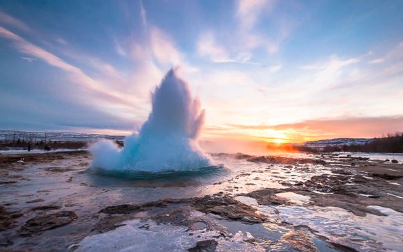 Your itinerary in detail