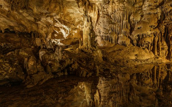 Optional excursions & extras