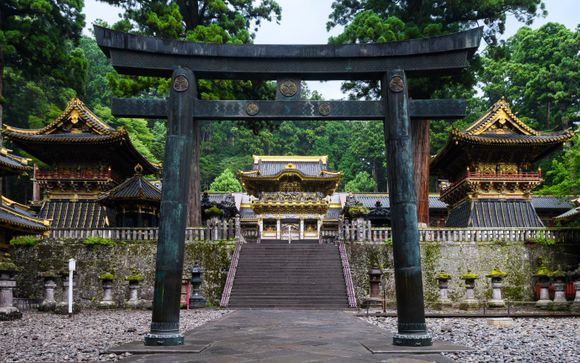 Your optional excursions & extras