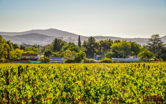 Your included excursions & extras