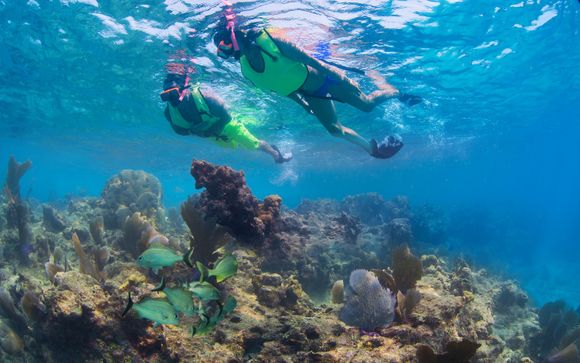 Your included extras & excursions 