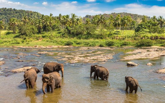 Optional excursions & extras