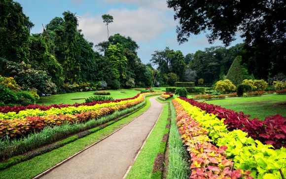 Optional excursions & extras