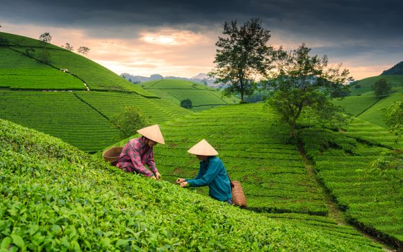 Your optional excursions