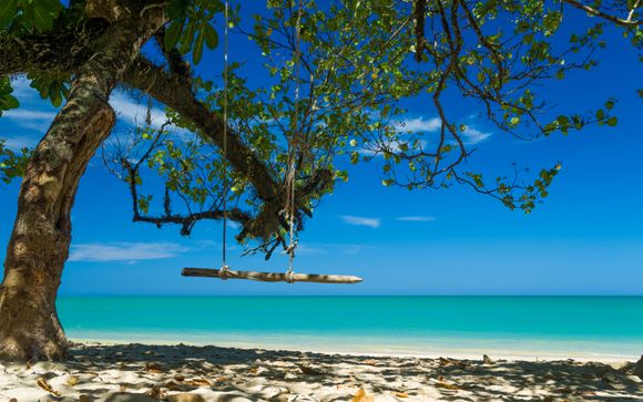 Your itinerary in detail