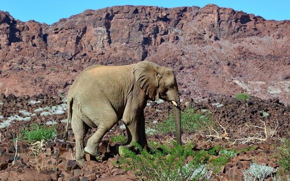 Your optional excursions