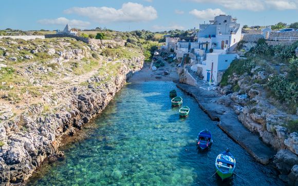 Your included extras