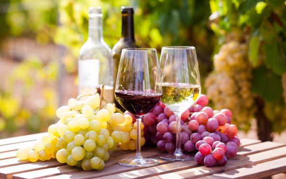 Included excursions (for stays from 01/05 to 31/10/2026)