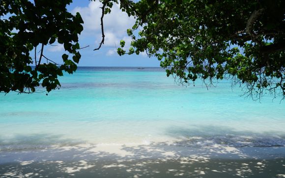 Welcome to the Maldives