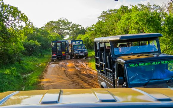Jeep safari amidst mountains, villages & tradition