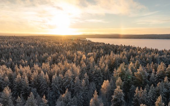 Welcome to Lapland