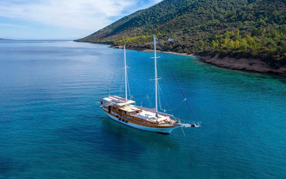 Your cruise at a glance