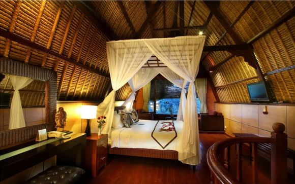 Your accommodation