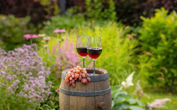 Wine tasting at Hotel Albatres (Adult-only)