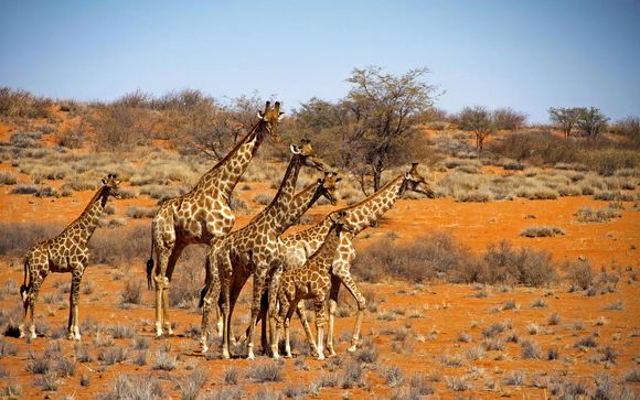 Your Itinerary In Brief