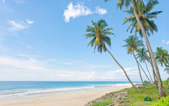 Your Itinerary In Brief