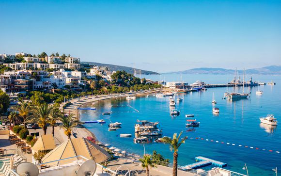 Your Itinerary In Detail