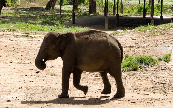 Your Itinerary In Detail