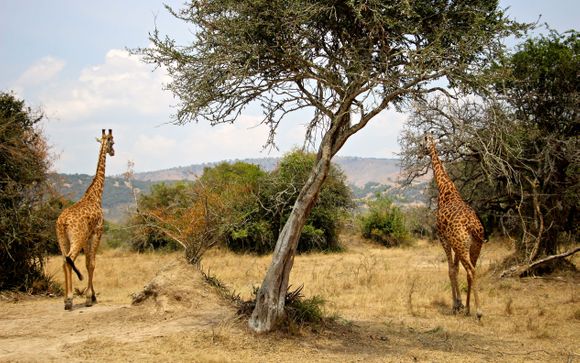 Your Itinerary In Detail