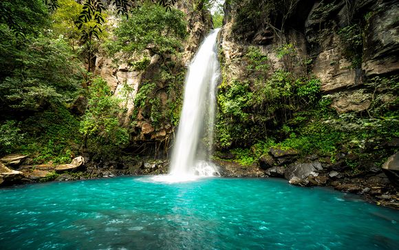 Your Itinerary in Detail