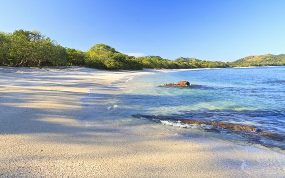 Your Itinerary in Detail