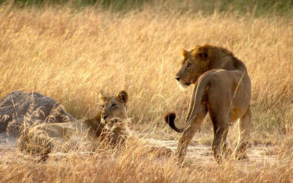 Your Itinerary In Detail