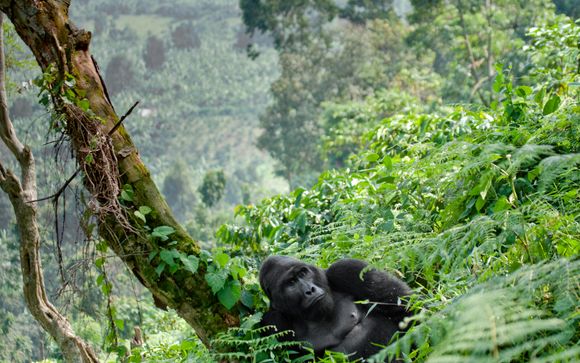 Your Itinerary In Detail