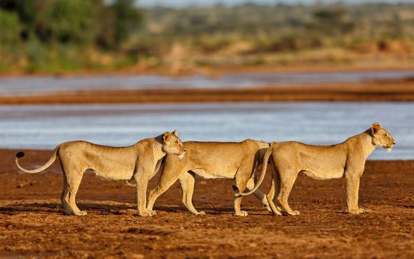 Your Itinerary In Brief