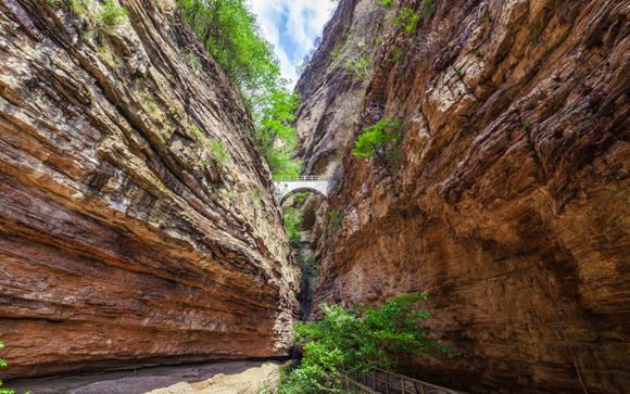 Your Itinerary in Brief