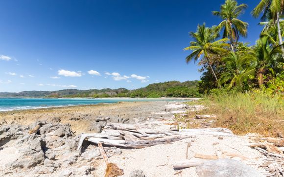 Your Itinerary In Detail