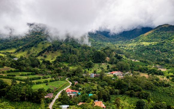 Your Itinerary In Detail