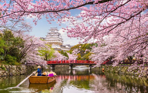 Your Itinerary in Detail