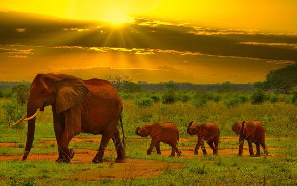 Your Itinerary in Detail