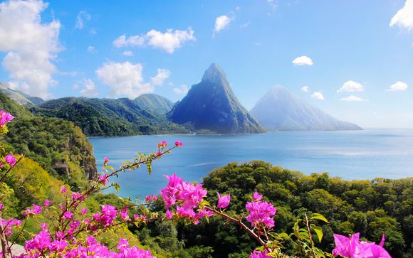 Your Optional Excursions