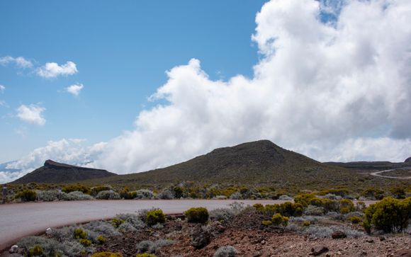 Your Optional Excursions