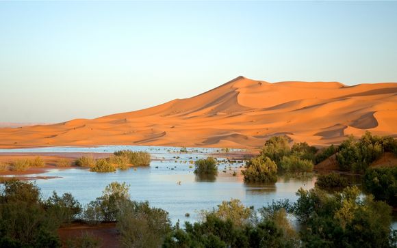 Your Itinerary In Detail