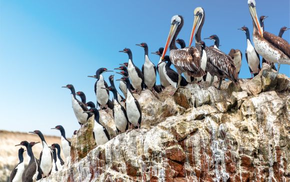 Your Itinerary In Detail