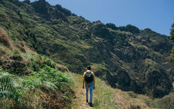 Your Optional Excursions