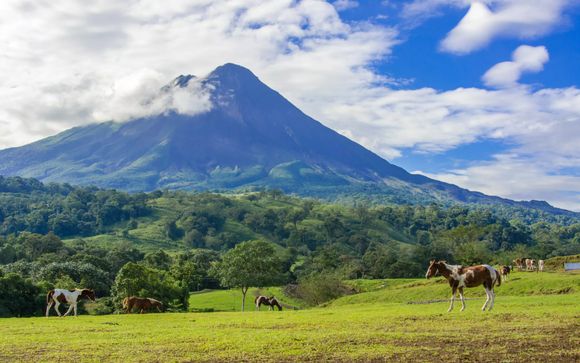 Your Optional Excursions 