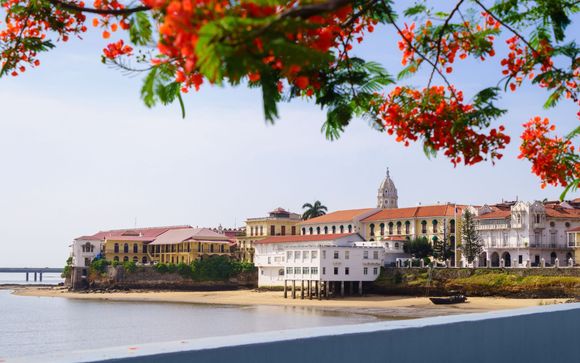 Your Itinerary in Detail