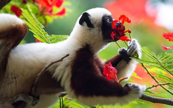 Your tour at a glance