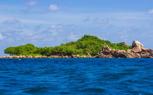 Your Optional Excursions