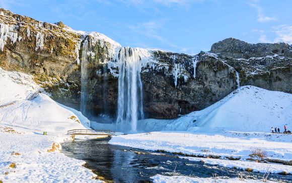 Your itinerary in detail