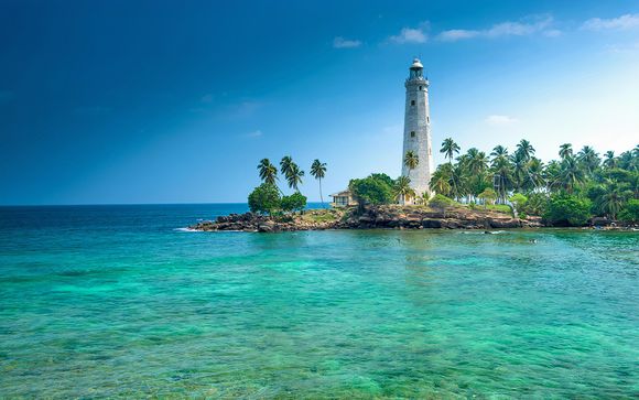 Your Optional Excursions